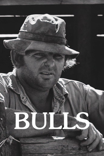 Bulls movie poster
