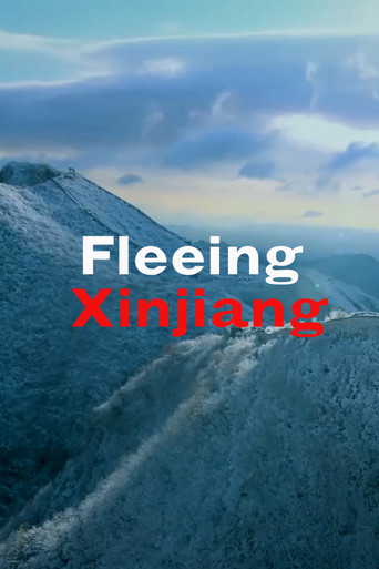 Fleeing Xinjiang movie poster