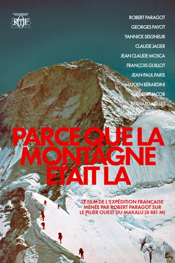 Because The Mountain Was There movie poster