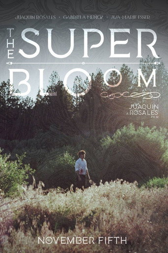 The Superbloom movie poster