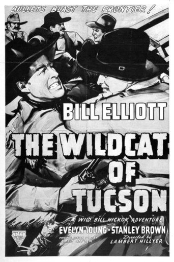 The Wildcat of Tucson movie poster