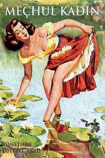 Meçhul Kadın movie poster