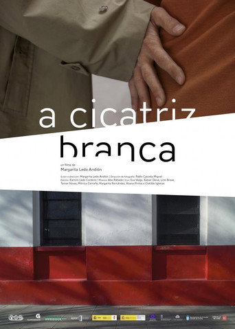 Apuntamentos para un filme movie poster