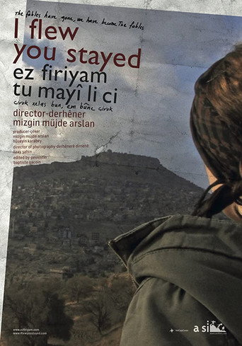 I flew you stayed movie poster