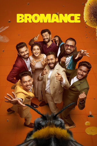 Bromance movie poster