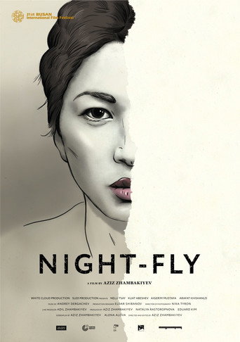 Night-Fly movie poster