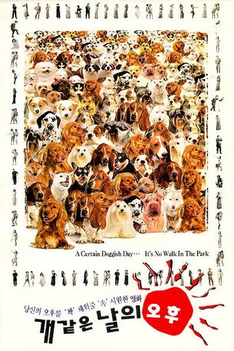 A Hot Roof movie poster