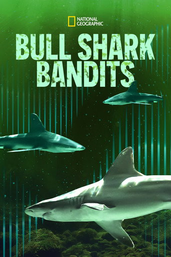 Bull Shark Bandits movie poster