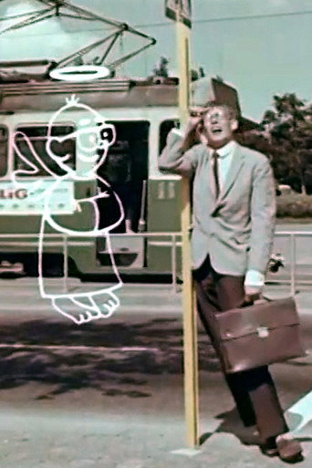 Mr. Pedestrian movie poster