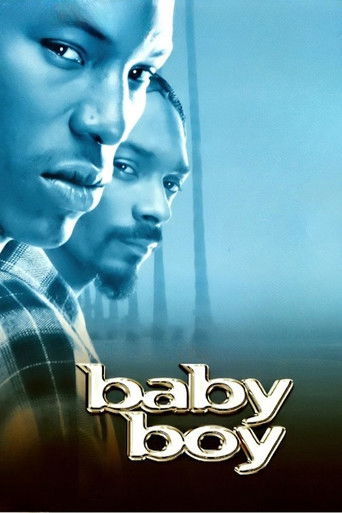 Baby Boy movie poster