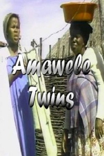 Twins movie poster