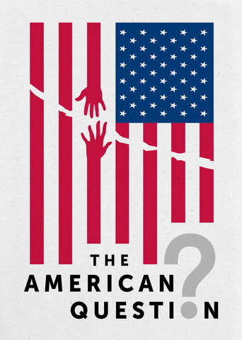 The American Question movie poster