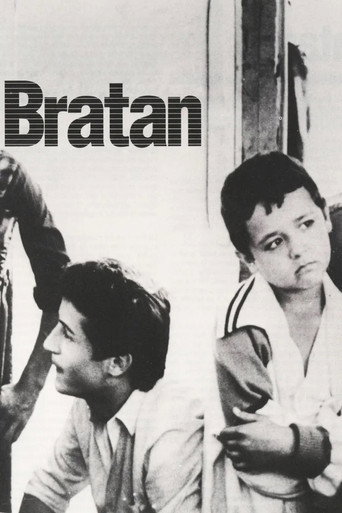 The Little Brother movie poster
