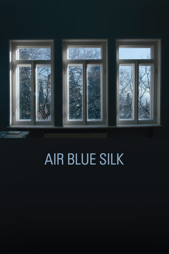 Air Blue Silk movie poster