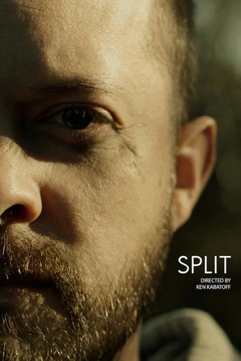 Split movie poster