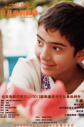 Xiao Kaiti's Vacation movie poster