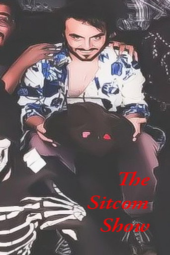 The Sitcom Show movie poster
