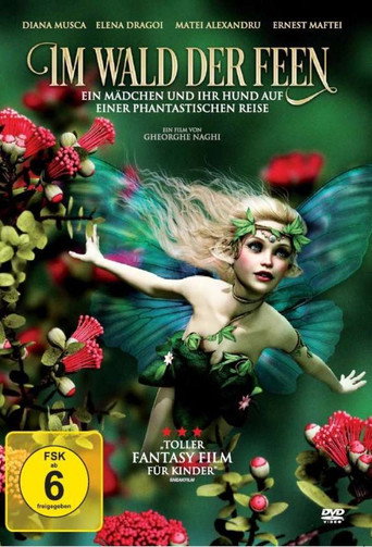 Im Wald der Feen movie poster