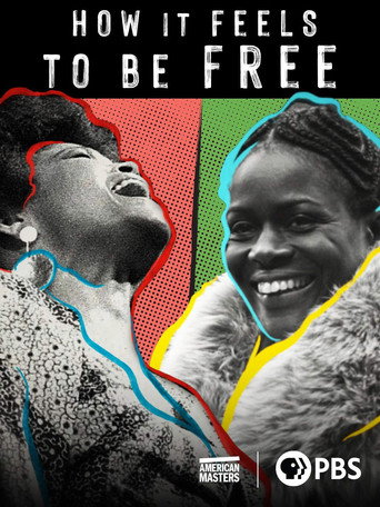 How It Feels to Be Free movie poster