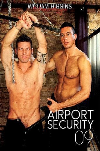 Airport Security 9 movie poster