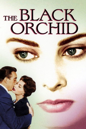 The Black Orchid movie poster