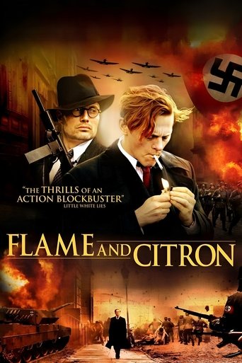 Flame & Citron movie poster