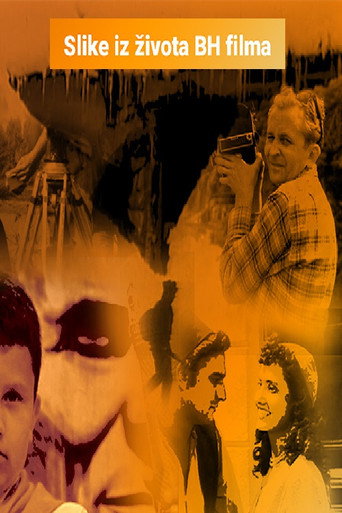 Scenes from the Life of BH Film movie poster