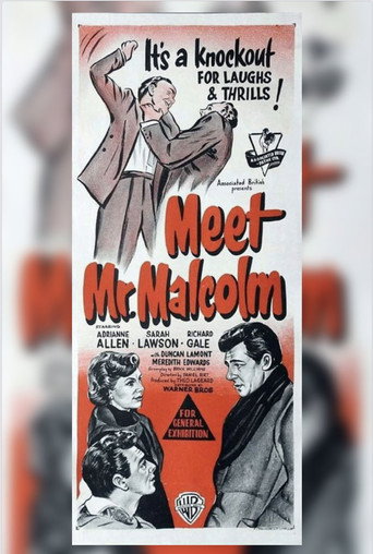 Meet Mr. Malcolm movie poster