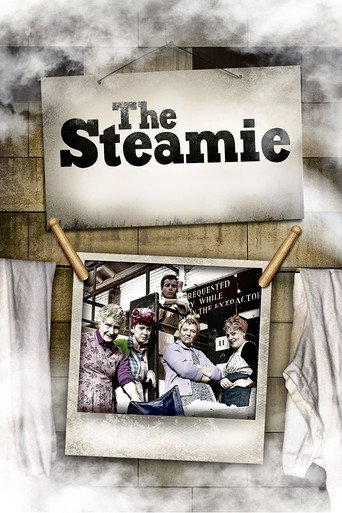The Steamie movie poster