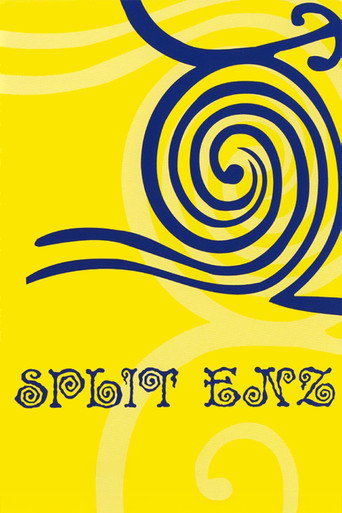 Split Enz movie poster