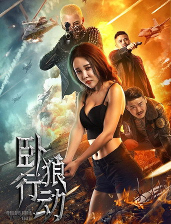 卧狼行动 movie poster