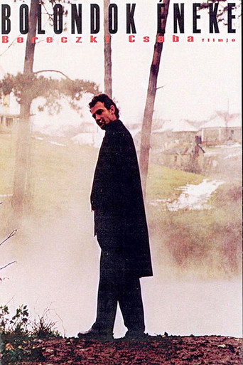 Fool's Song movie poster