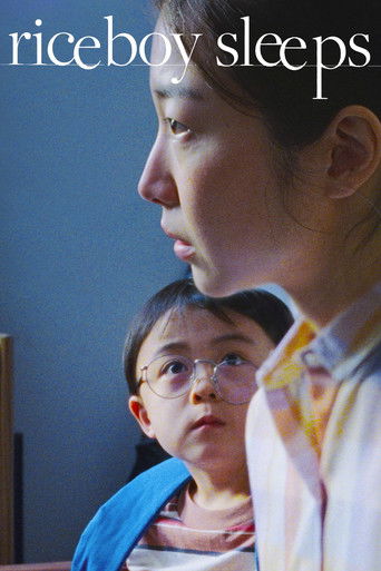 Riceboy Sleeps movie poster