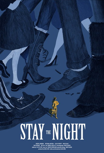 Stay The Night movie poster