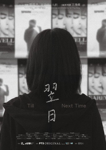 Till Next Time movie poster