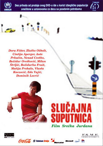 Accidental Co-Traveller movie poster
