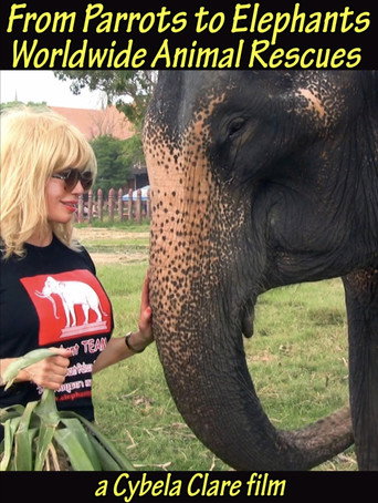From Parrots to Elephants: Worldwide Animal Rescues movie poster