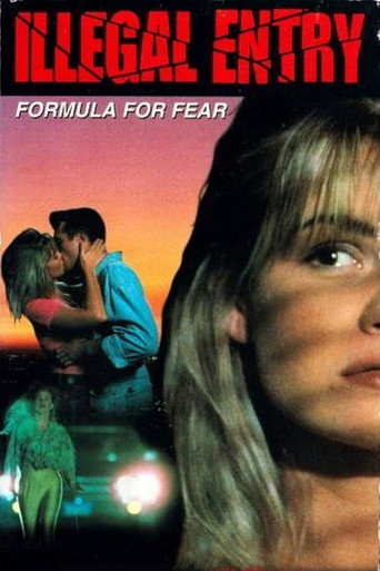 Illegal Entry: Formula for Fear movie poster