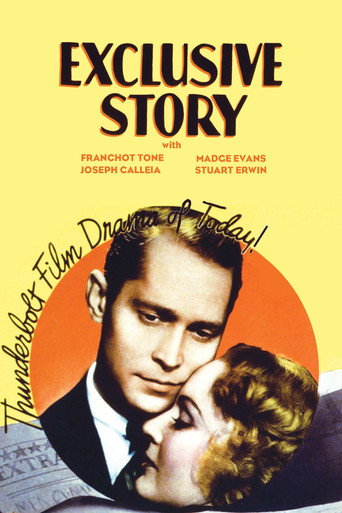 Exclusive Story movie poster