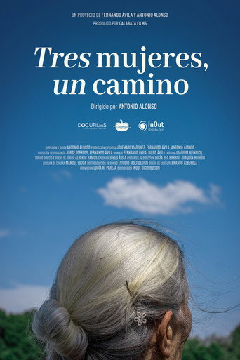 Tres mujeres, un camino movie poster