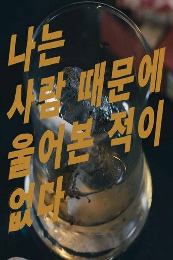 I Have Never Cried For Someone movie poster