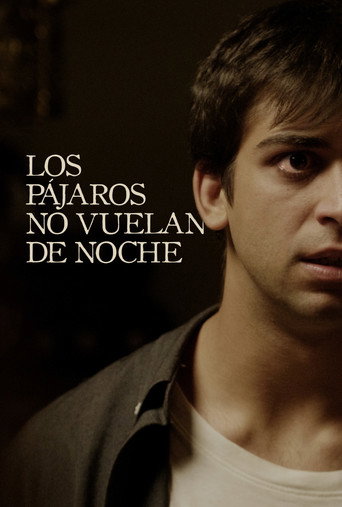 Birds Don’t Fly at Night movie poster