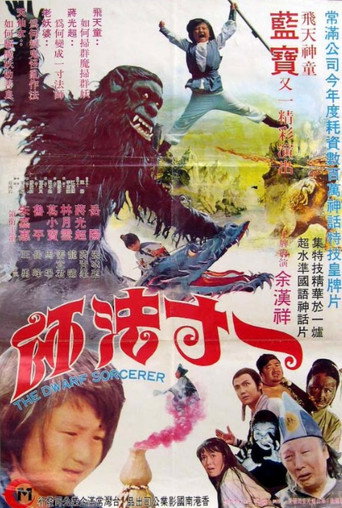 The Dwarf Sorcerer movie poster