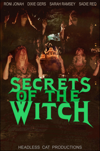 Secrets of the Witch movie poster