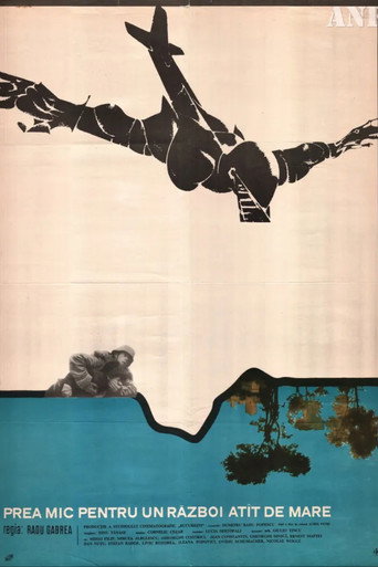 Too Little for Such a Big War movie poster