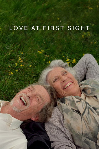 Love at First Sight movie poster