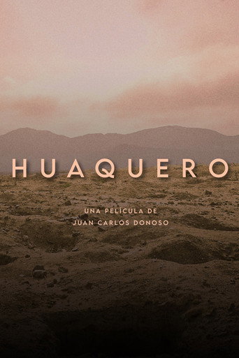 Huaquero movie poster