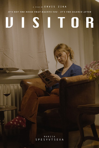 Visitor movie poster