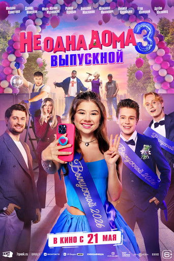 Home Not Alone 3 movie poster
