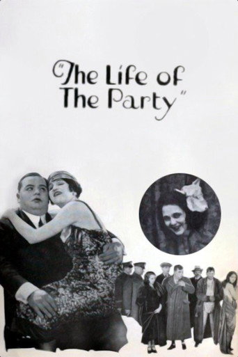 The Life of the Party movie poster